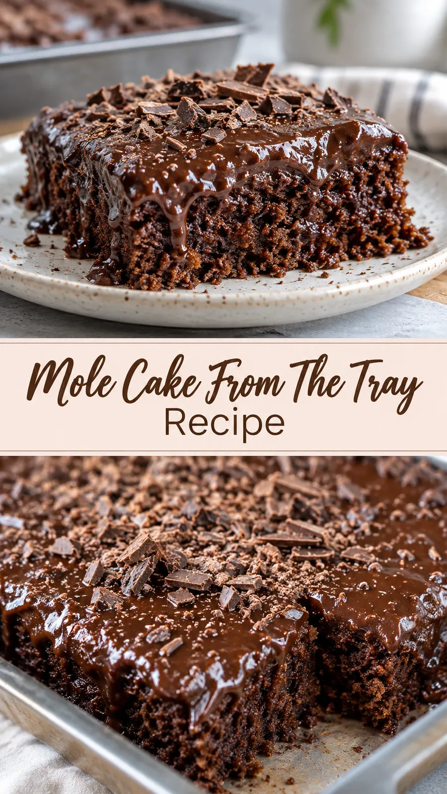 Pinterest image for Mole Cake From The Tray Recipe, with two photos of the recipe
