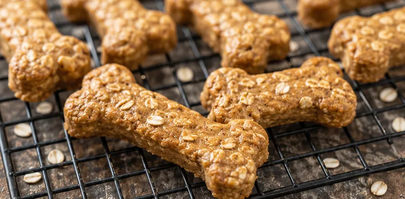 Peanut Butter Oatmeal Banana Dog Treats, ready to serve